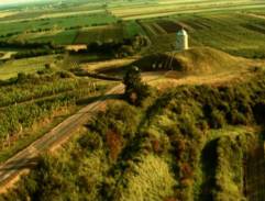 Kaplička mezi vinohrady