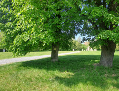 S02E02 Muž, který pohnul světem