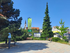 Průvod festivalových účastníků