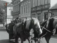 Pan Němeček rozváží brikety