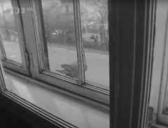 Za oknem