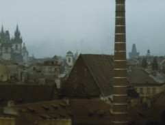 Smrt černého krále