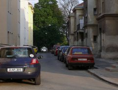 Smrt černého krále