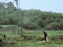 Smrt černého krále