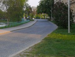 Smrt černého krále