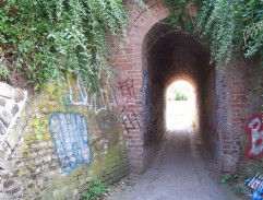 Smrt černého krále