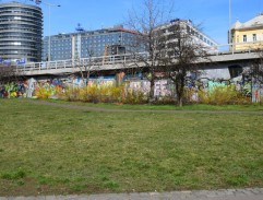 Smrt černého krále