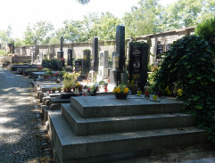 Smrt černého krále