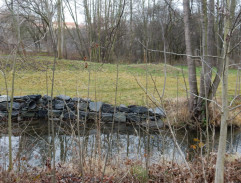 Smrt černého krále