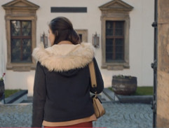 Před poslaneckou sněmovnou