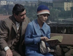 Vyšehradské hradby