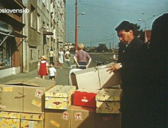 Když má svátek Dominika