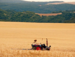 Cesta na políčko 3