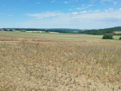 Cesta na políčko 3