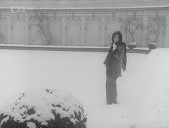 Valdštejnská zahrada 2