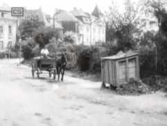 Pižla na koňském povozu