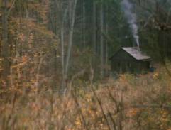 chalupa v lese