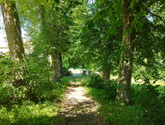 Útěk před válkou