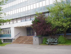 Vražedné pochybnosti