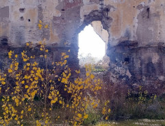 V rozbořeném městě