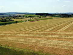 Rhuidean
