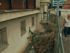 Koza před ubytovnou