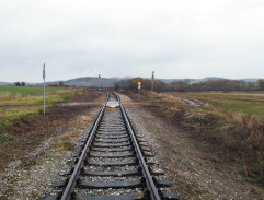 Hořící strom na trati