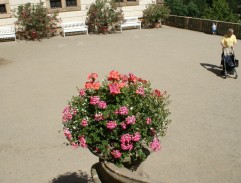 Na zámeckém nádvoří