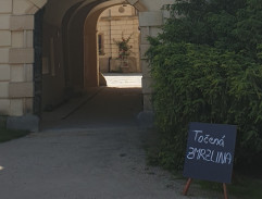 Princezna se zlatou hvězdou