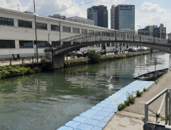 Nástrahy velkoměsta 