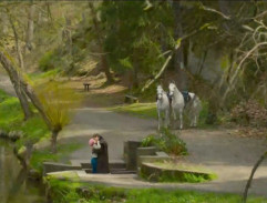 Aristokratka ve varu