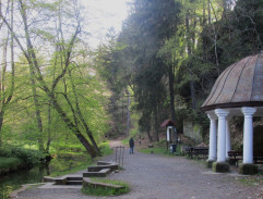 Aristokratka ve varu