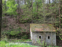 Aristokratka ve varu