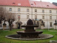 Kukačka v temném lese