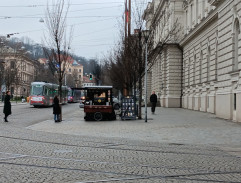 Dívka s třemi velbloudy