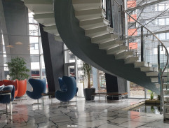 Dívka s třemi velbloudy