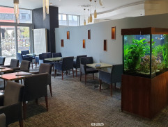 Dívka s třemi velbloudy