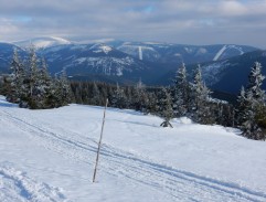 Sněženky a machři