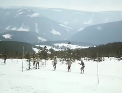 Sněženky a machři