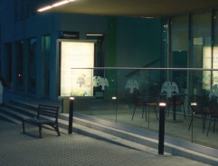 Zápisník alkoholičky