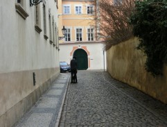 Cesta z filmovové dražby