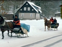 pohled z autobusu na saně
