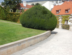 Kouzelné dobrodružství