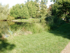 Kouzelné dobrodružství