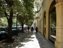 Eric a Shelly si kráčejí po útěku