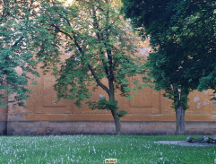 6. Žili šťastně až do smrti