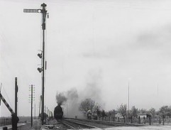 Zastavit se musí elasticky ;-)