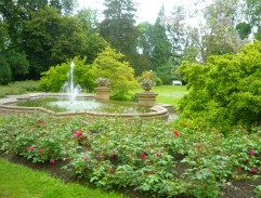 S čerty nejsou žerty