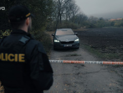 Příjezd ke kravínu