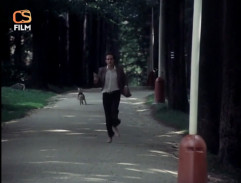 Od vraždy jenom krok ke lži